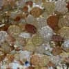 Brass Branch & Autumn Glass Disc Chandelier | Organic Form with Three-Tone Artisan Glass Light thumbnail 3